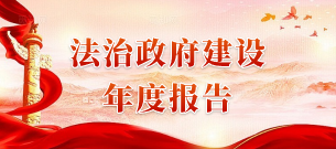 法治政府建设年度报告