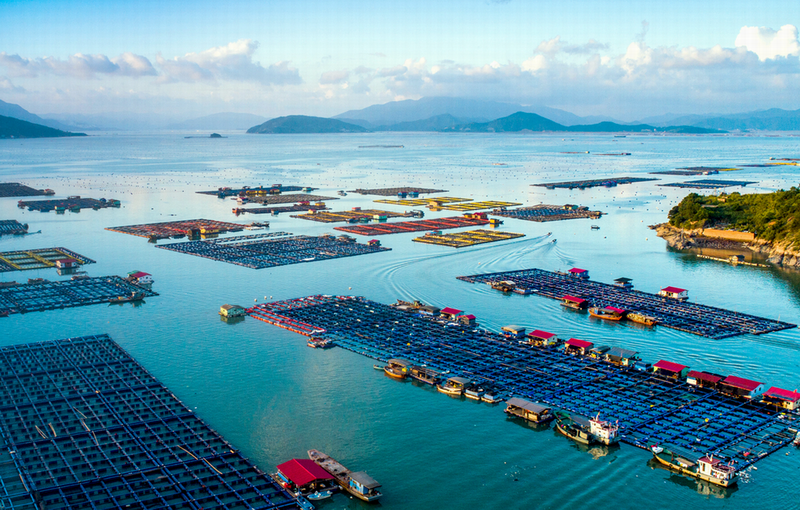 提升海洋生态高颜值 加快渔业发展高素质