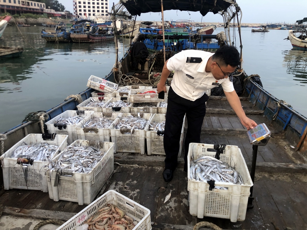 省执法总队闽南执法支队查获非法捕捞渔获物3000公斤 _ 图片新闻 _ 福建省海洋与渔业局