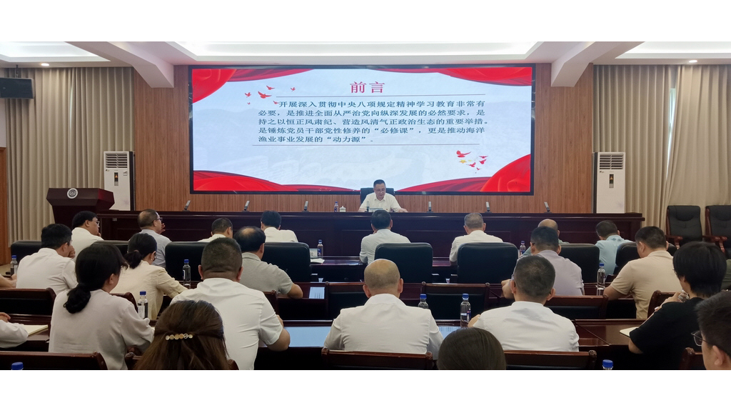 局党组成员、副局长翁新平为分管领域讲授深入贯彻中央八项规定精神学习教育专题党课​